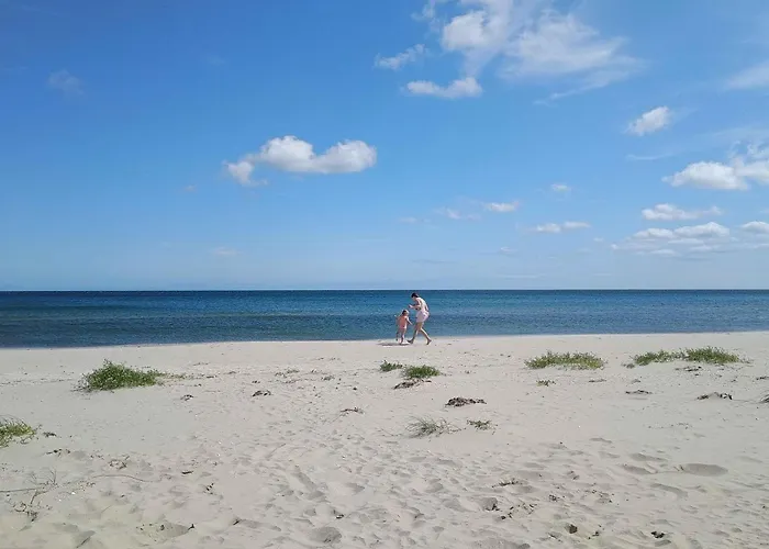 Family-friendly Near Forest Harbour *